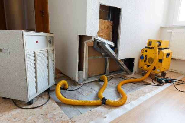 Best Mold Documentation for Insurance Claims  in Big Le, AK
